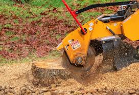 Best Tree Risk Assessment  in El Paso, IL